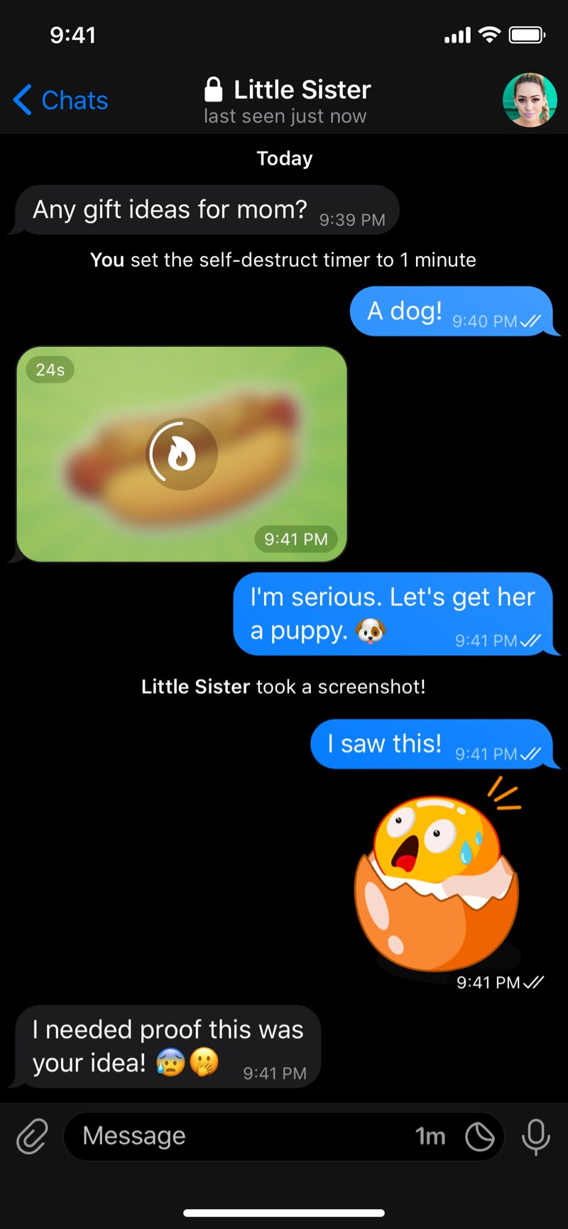 Official Telegram dark secret-chat interface used as a buyer-security reference